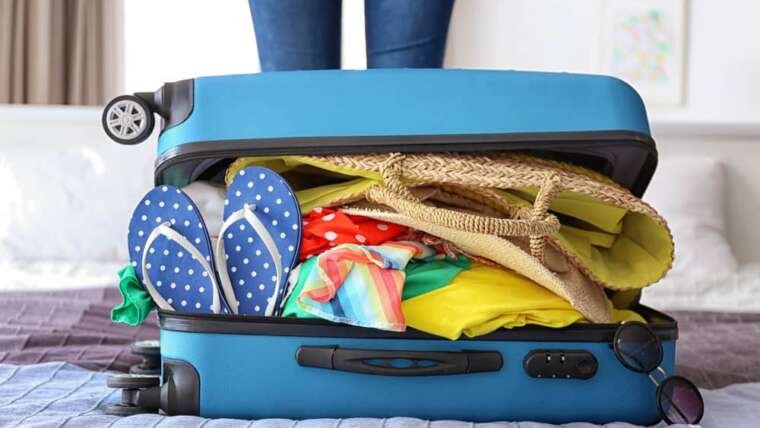 Can Bed Bugs Live in Your Clothes?