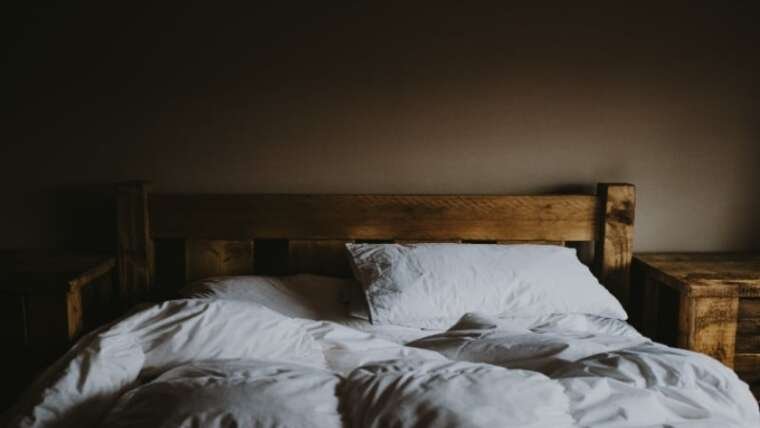 Male vs. Female Bed Bugs: Defining Gender Roles