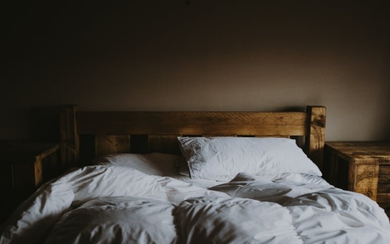 Male vs. Female Bed Bugs: Defining Gender Roles